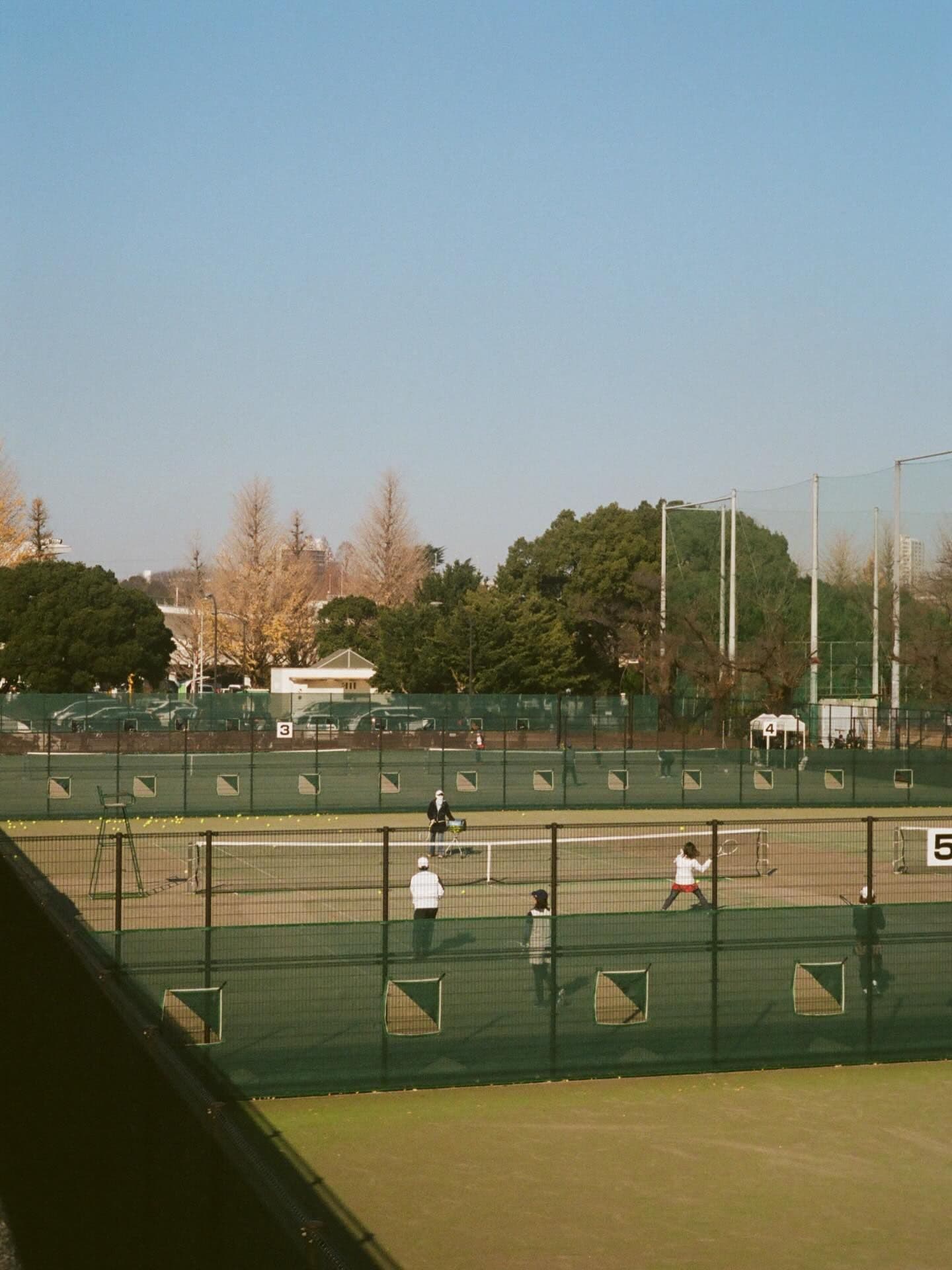 palmes